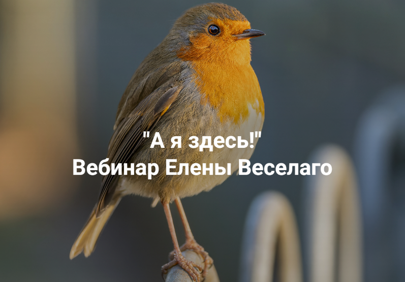 [Институт Открытого поля] Елена Веселаго → А я зде_0.png